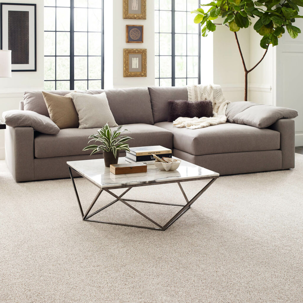 Living room flooring | Flooring By Design NC