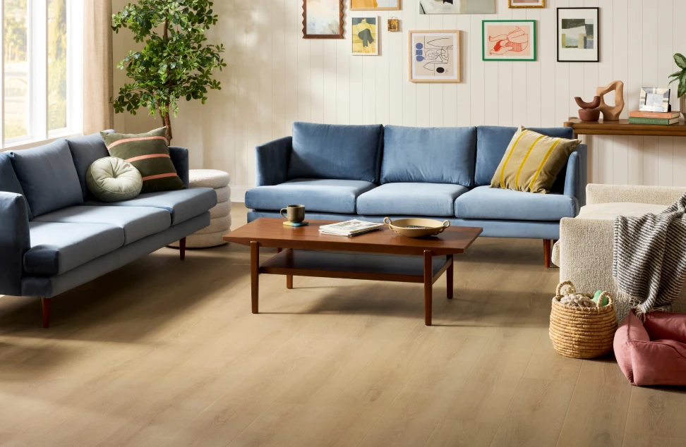 Laminate | Flooring By Design NC